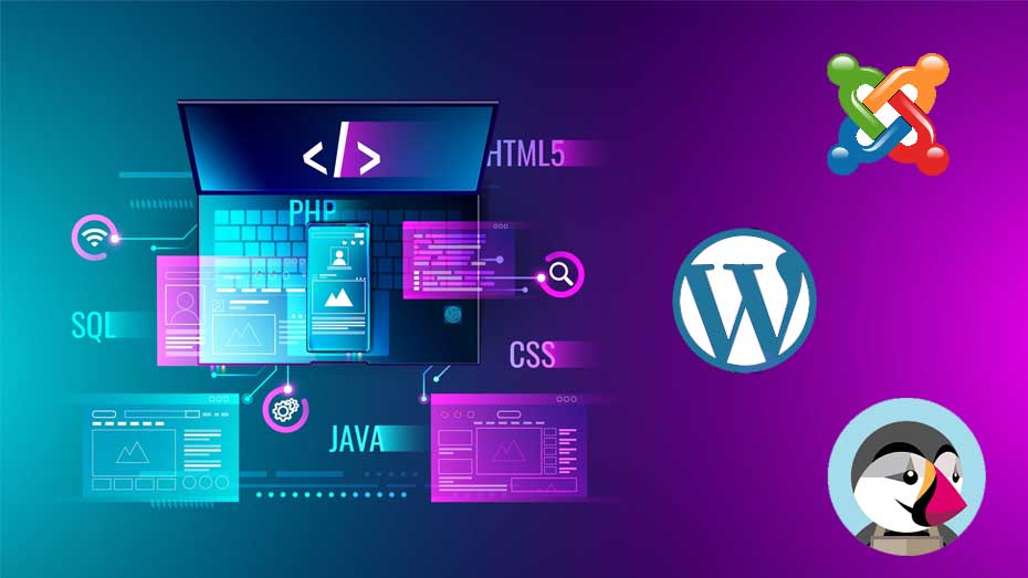 Web Development